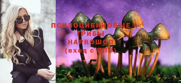 мет Алзамай